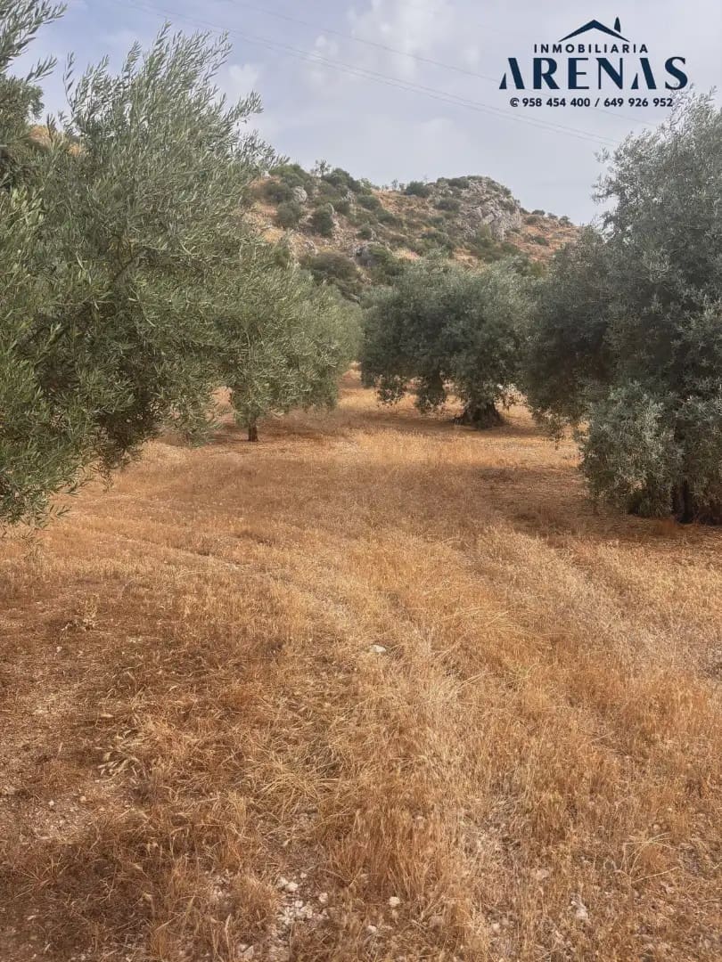 Landgrundstück zu verkaufen in Illora - 25.000 € (Ref: 10047809)