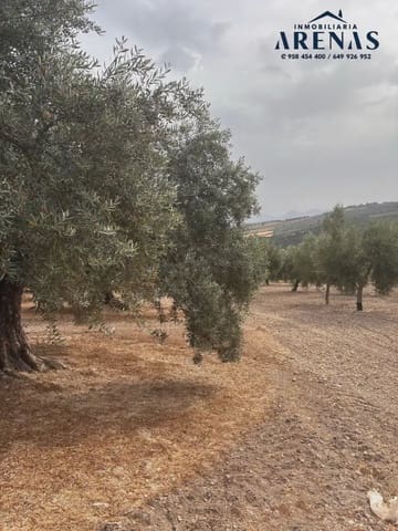 Ubebygd land til salgs i Illora - € 25 000 (Ref: 10047809)