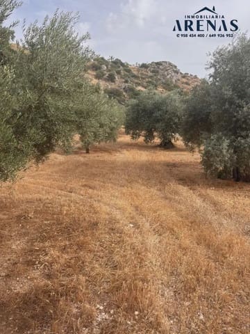 Ubebygd land til salgs i Illora - € 25 000 (Ref: 10047809)