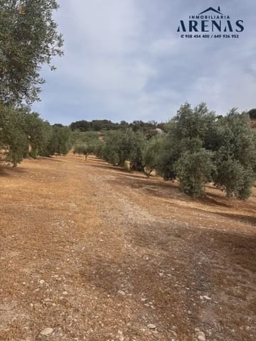 Ubebygd land til salgs i Illora - € 25 000 (Ref: 10047809)