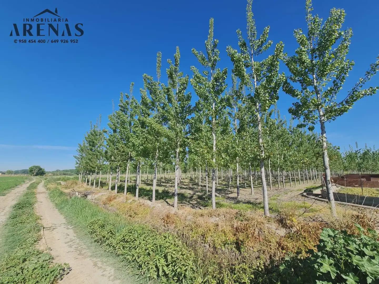 Undeveloped Land for sale in Cijuela - € 37,000 (Ref: 10047810)