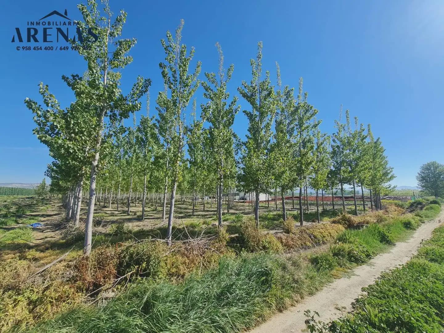 Undeveloped Land for sale in Cijuela - € 37,000 (Ref: 10047810)