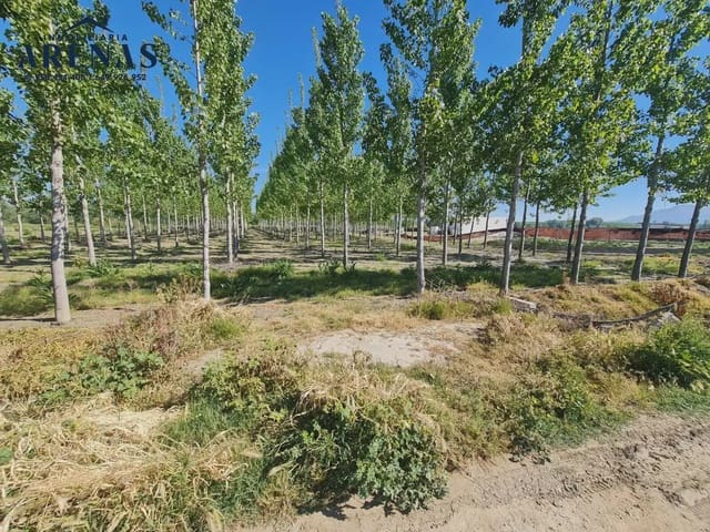 Landgrundstück zu verkaufen in Cijuela - 37.000 € (Ref: 10047810)