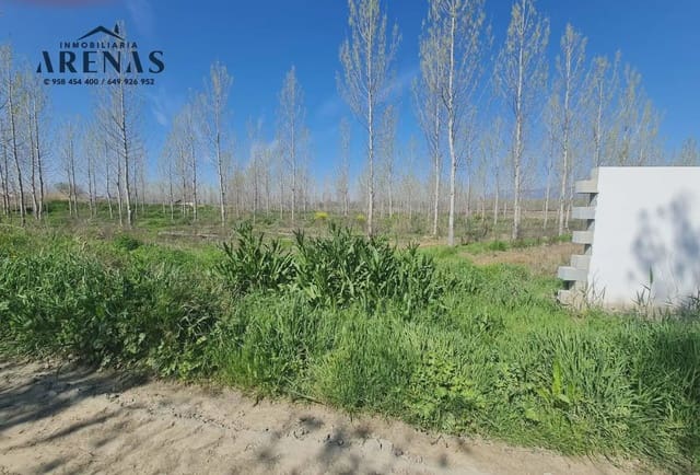 Landgrundstück zu verkaufen in Cijuela - 22.900 € (Ref: 10047813)