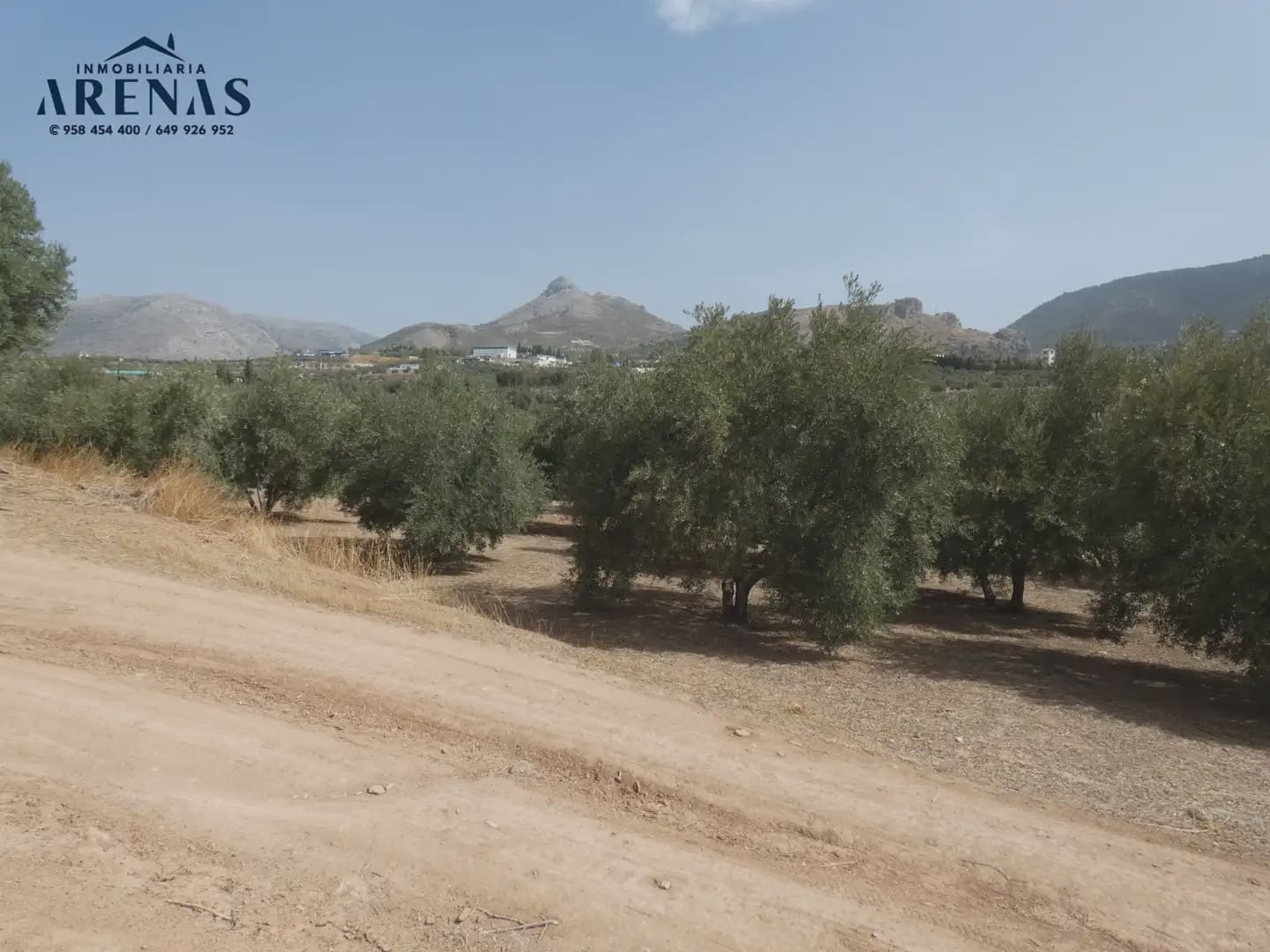 Terreno Non Edificato in vendita in Cogollos Vega - 40.000 € (Rif: 10047815)