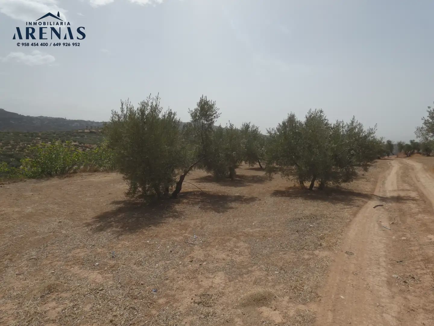 Terreno Non Edificato in vendita in Cogollos Vega - 40.000 € (Rif: 10047815)