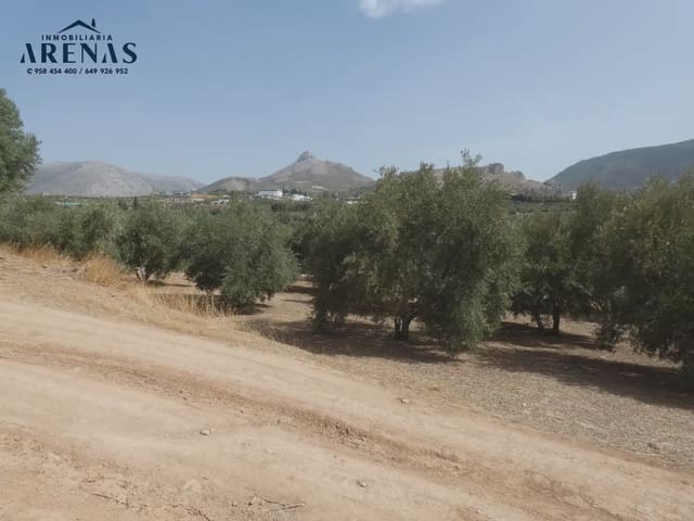 Terreno Non Edificato in vendita in Cogollos Vega - 40.000 € (Rif: 10047815)
