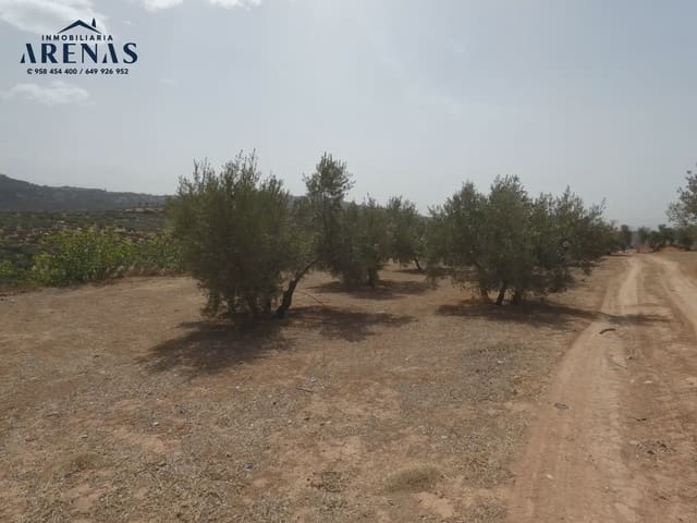 Terreno Non Edificato in vendita in Cogollos Vega - 40.000 € (Rif: 10047815)