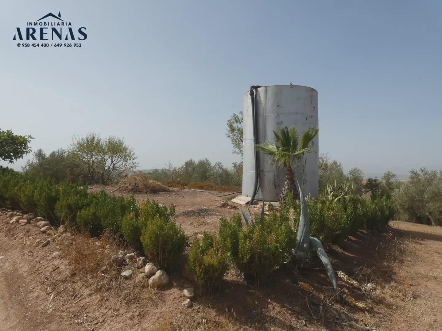 Terreno Non Edificato in vendita in Cogollos Vega - 40.000 € (Rif: 10047815)