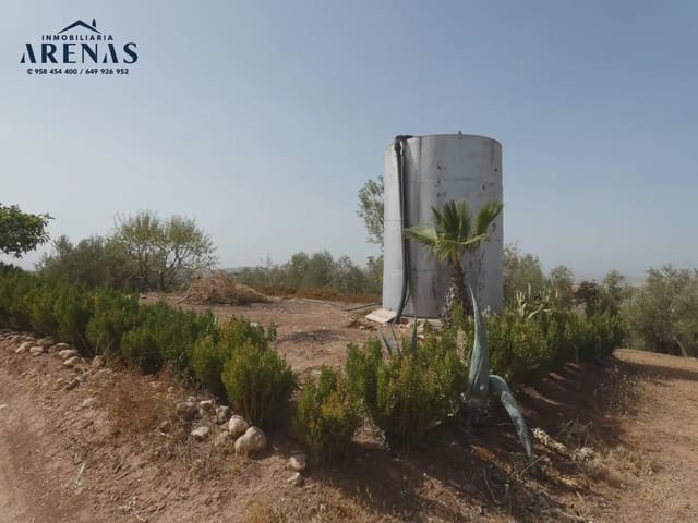 Terreno Non Edificato in vendita in Cogollos Vega - 40.000 € (Rif: 10047815)