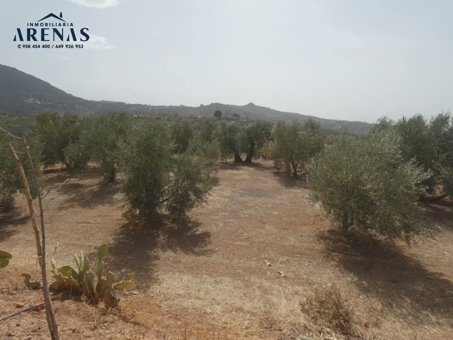 Terreno Non Edificato in vendita in Cogollos Vega - 40.000 € (Rif: 10047815)