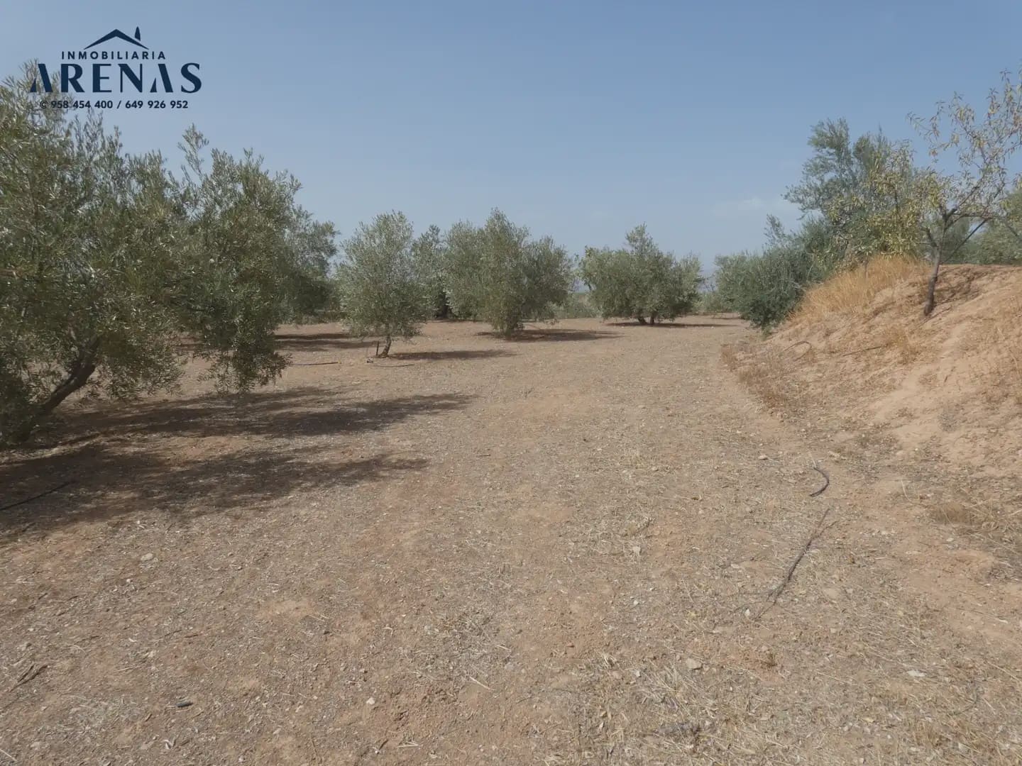 Terreno Non Edificato in vendita in Cogollos Vega - 40.000 € (Rif: 10047815)