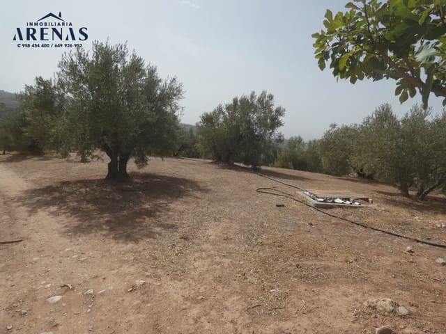 Terreno Non Edificato in vendita in Cogollos Vega - 40.000 € (Rif: 10047815)