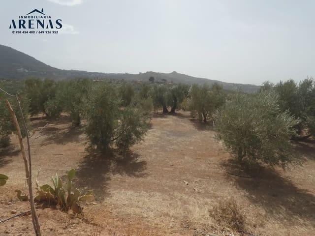 Terreno Non Edificato in vendita in Cogollos Vega - 40.000 € (Rif: 10047815)