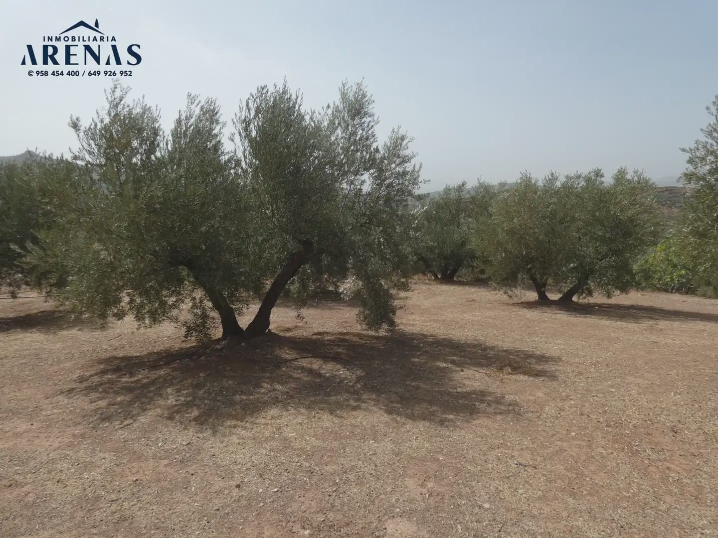 Terreno Non Edificato in vendita in Cogollos Vega - 40.000 € (Rif: 10047815)