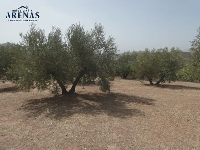 Terreno Non Edificato in vendita in Cogollos Vega - 40.000 € (Rif: 10047815)