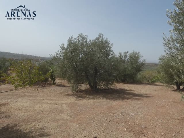 Terreno Non Edificato in vendita in Cogollos Vega - 40.000 € (Rif: 10047815)