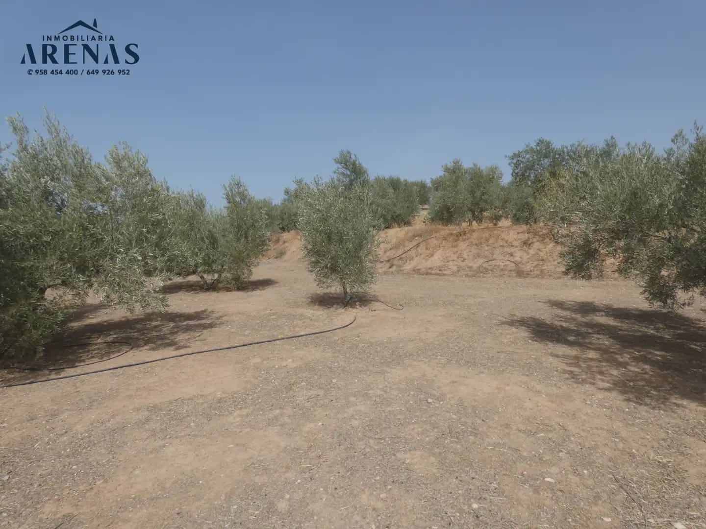 Terreno Non Edificato in vendita in Cogollos Vega - 40.000 € (Rif: 10047815)