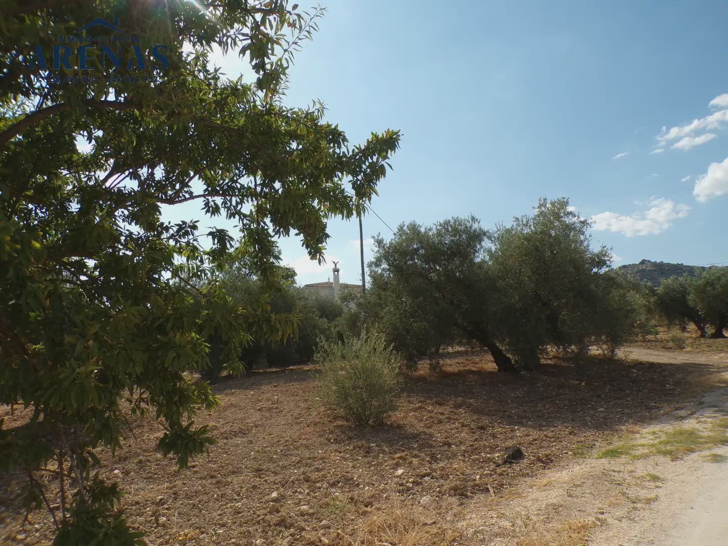 Quinta/Casa Rural para venda em Loja - 136 500 € (Ref: 10047822)