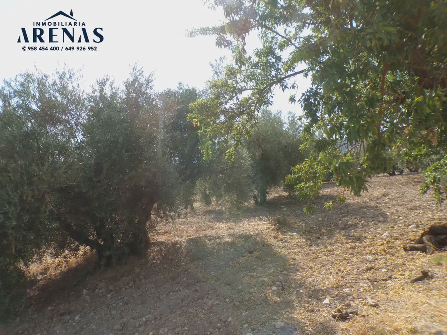 Quinta/Casa Rural para venda em Loja - 136 500 € (Ref: 10047822)