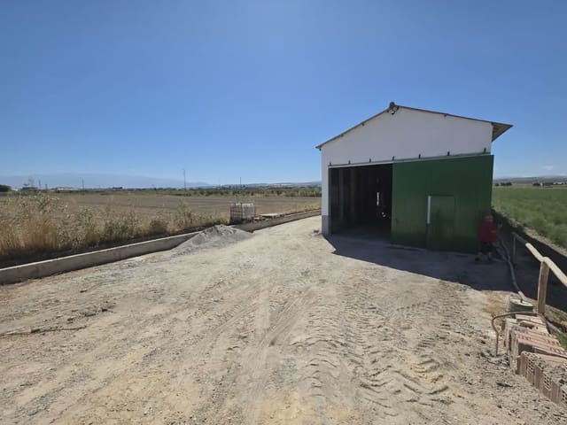 Kommersiell att hyra i Chauchina - 500 € (Ref: 10086609)
