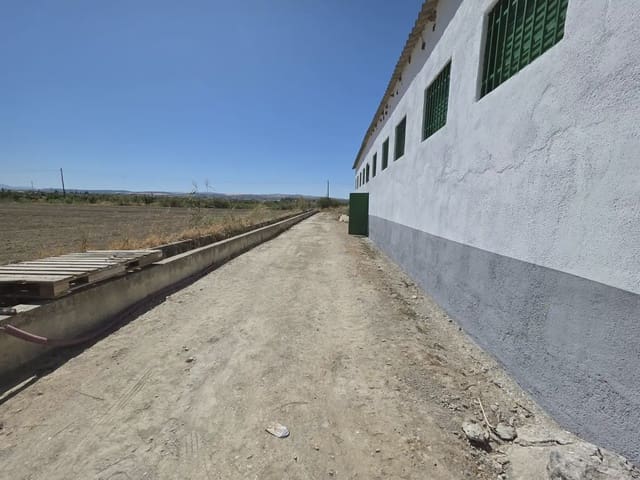Kommersiell att hyra i Chauchina - 500 € (Ref: 10086609)
