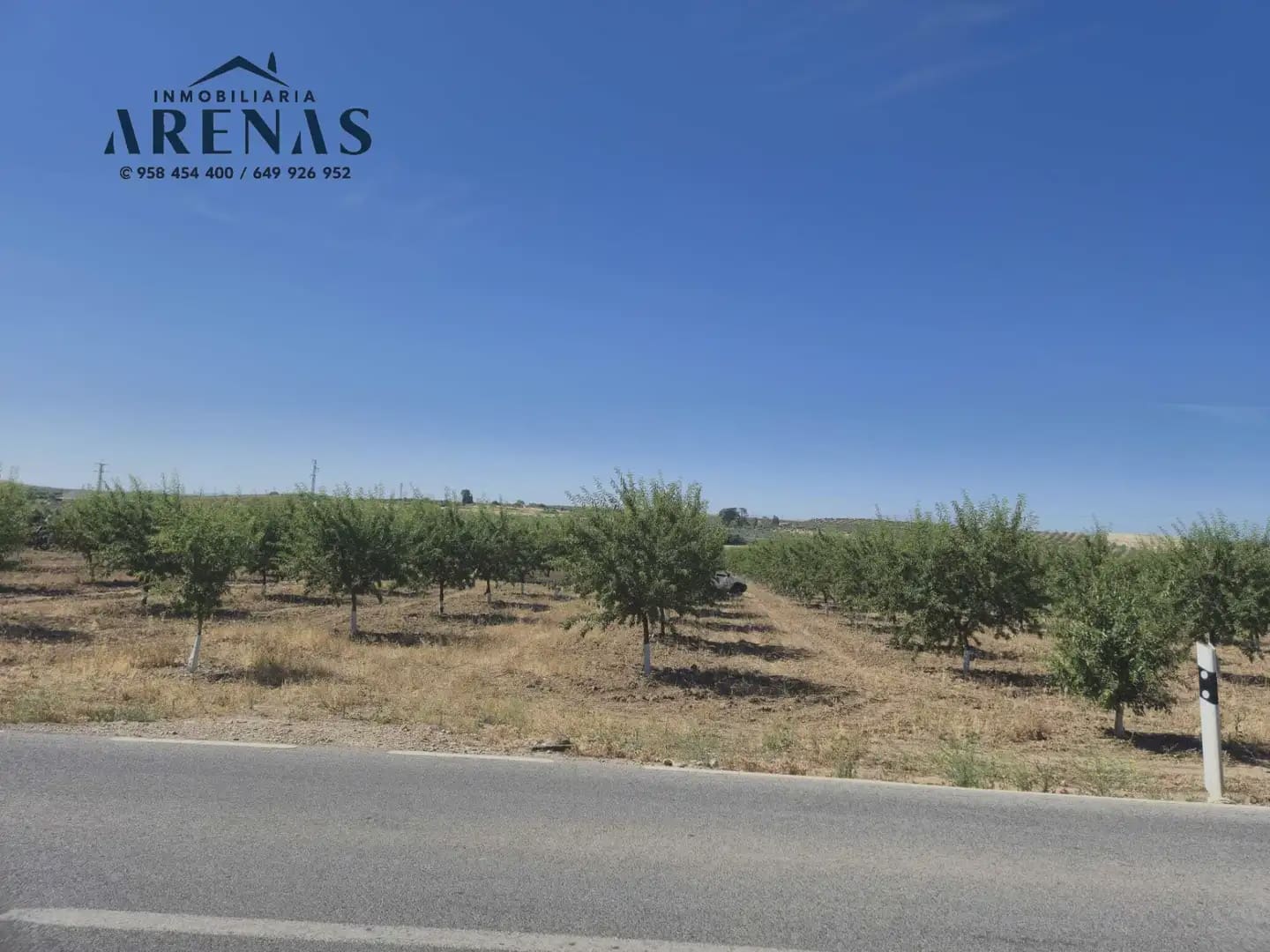 Landgrundstück zu verkaufen in Illora - 100.000 € (Ref: 10086610)