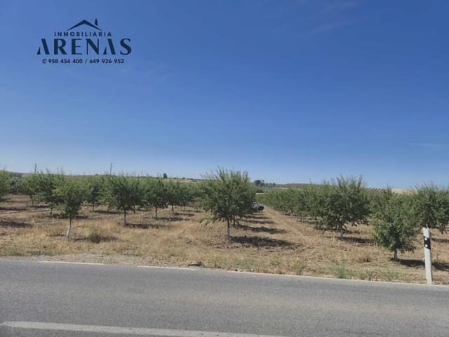 Landgrundstück zu verkaufen in Illora - 100.000 € (Ref: 10086610)