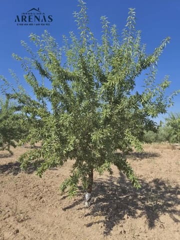 Landgrundstück zu verkaufen in Illora - 100.000 € (Ref: 10086610)