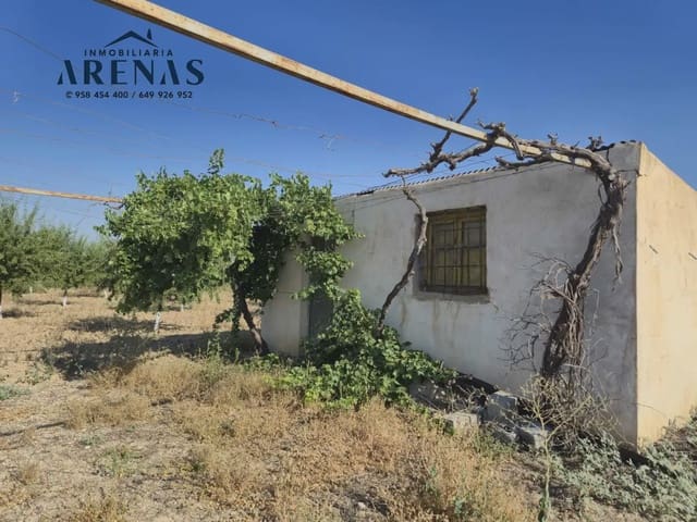 Landgrundstück zu verkaufen in Illora - 100.000 € (Ref: 10086610)