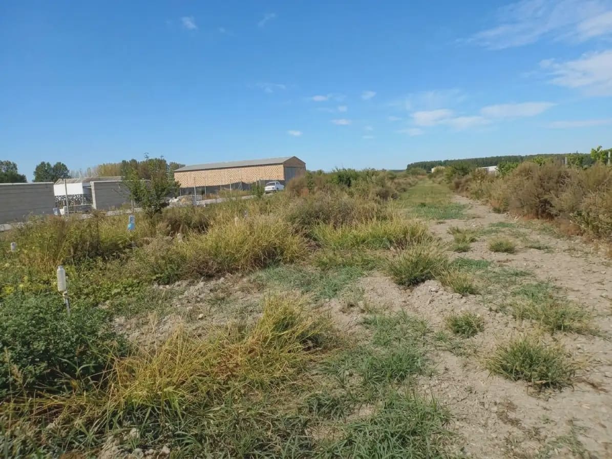 Finka/Dom wiejski na sprzedaż w Fuente Vaqueros - 55 000 € (Ref: 10136331)