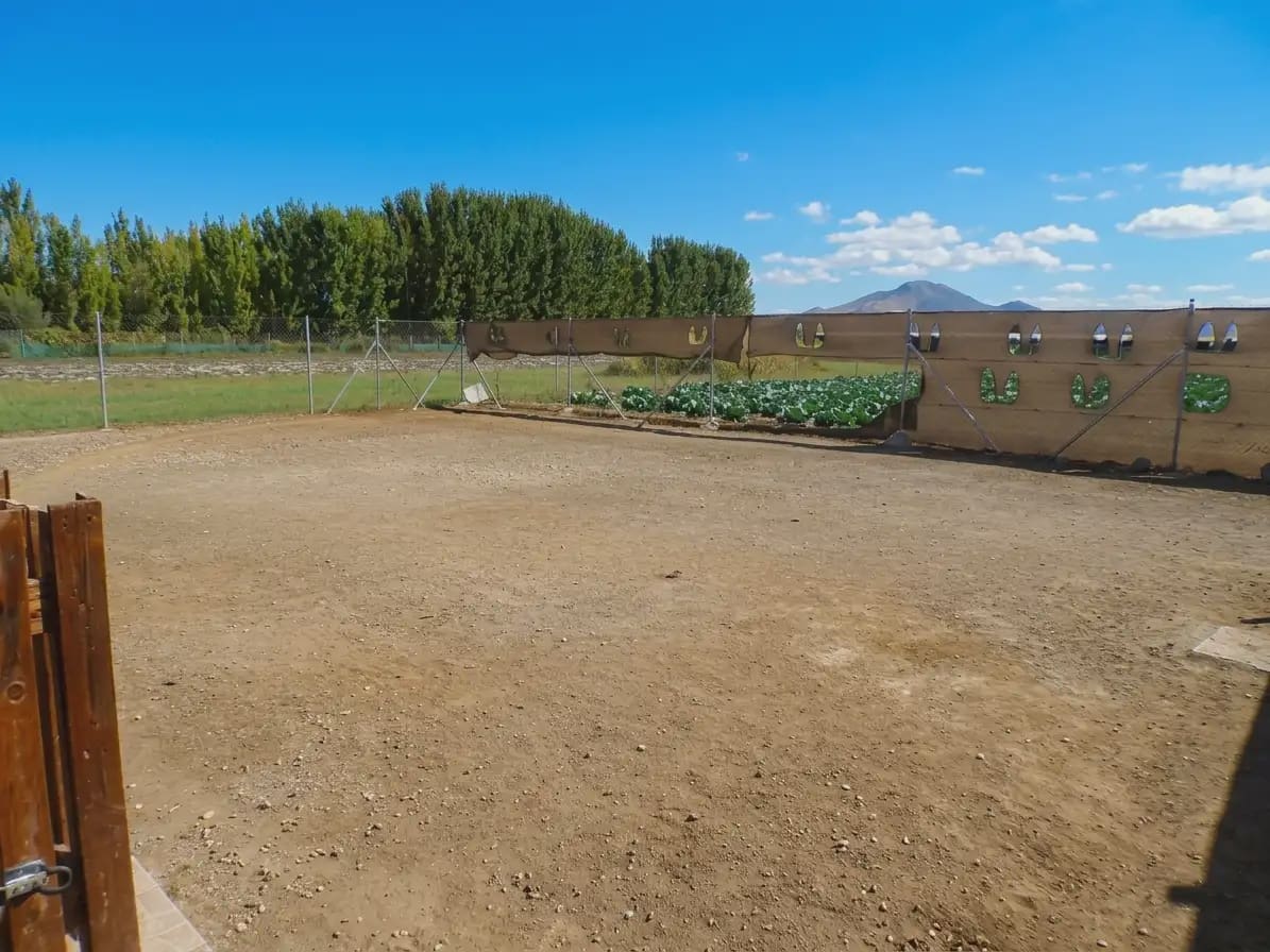 Finka/Dom wiejski na sprzedaż w Fuente Vaqueros - 55 000 € (Ref: 10136331)