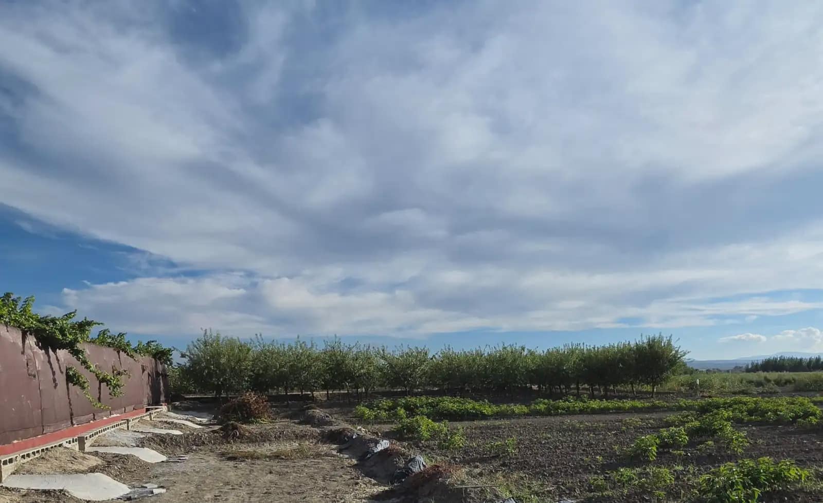 Finca/Country House for sale in Chauchina - € 130,000 (Ref: 10136466)