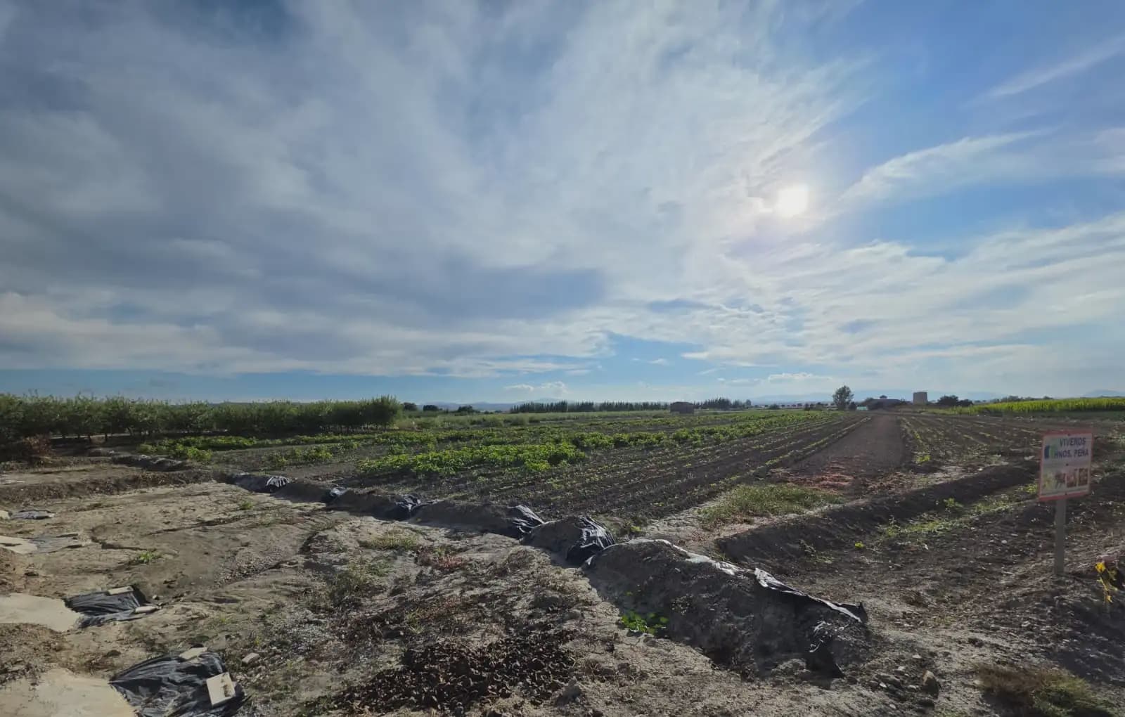Finca/Country House for sale in Chauchina - € 130,000 (Ref: 10136466)
