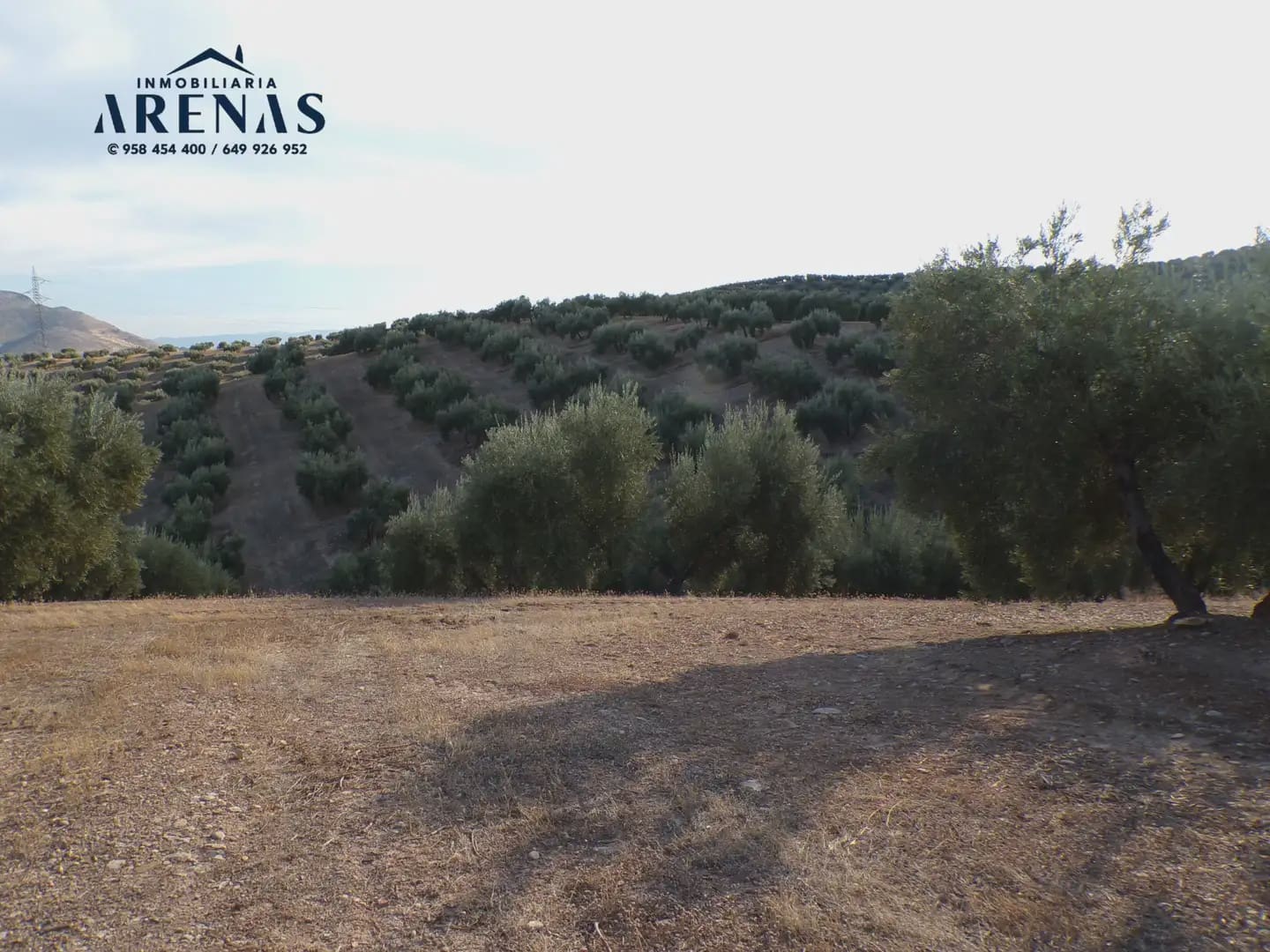 Grond te koop in Pinos Puente - € 125.000 (Ref: 10160181)