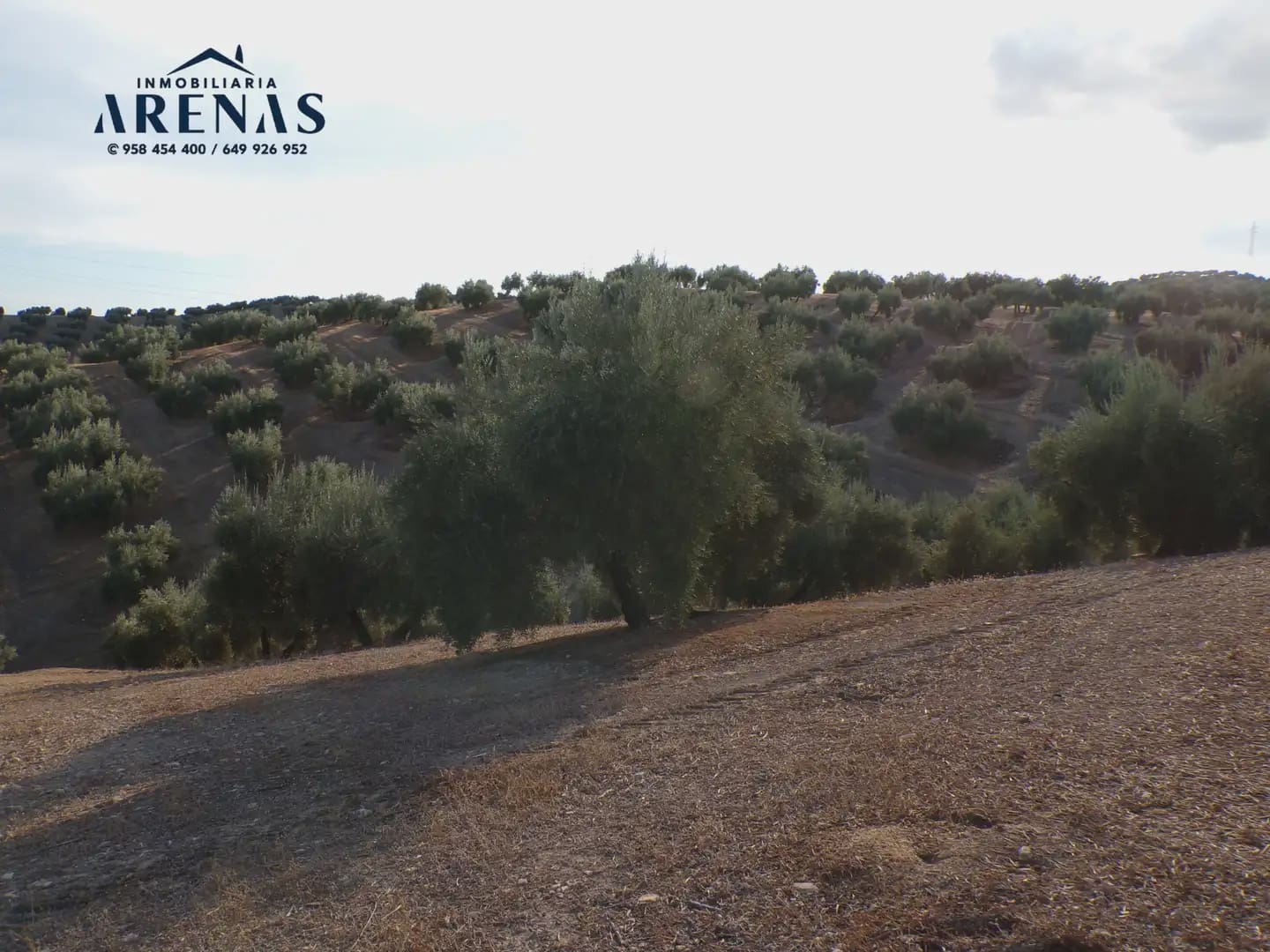 Grond te koop in Pinos Puente - € 125.000 (Ref: 10160181)