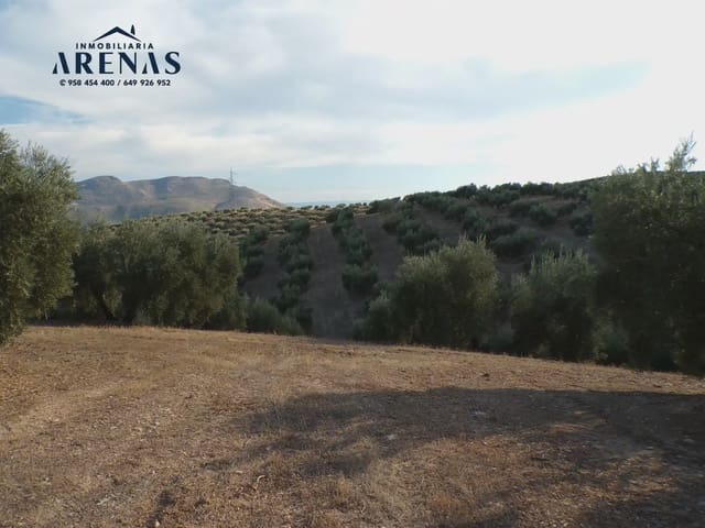Grond te koop in Pinos Puente - € 125.000 (Ref: 10160181)