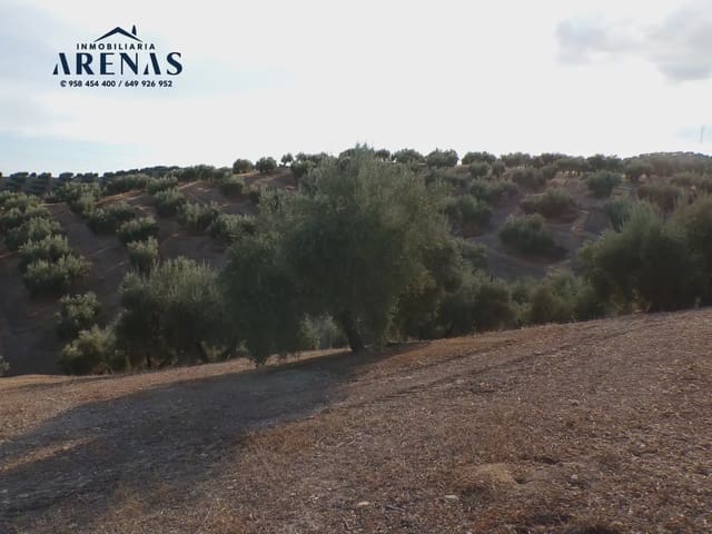 Grond te koop in Pinos Puente - € 125.000 (Ref: 10160181)