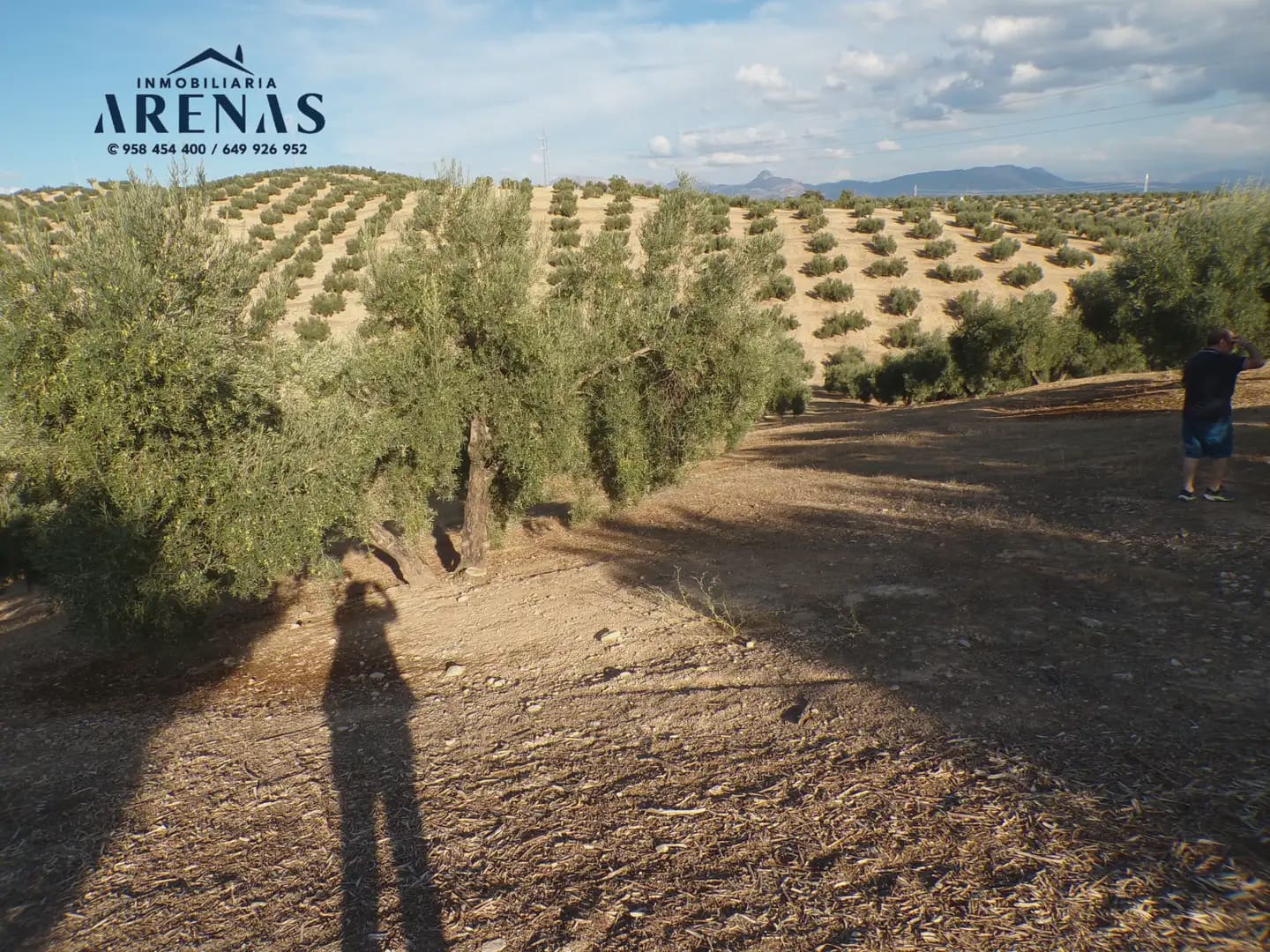 Grond te koop in Pinos Puente - € 125.000 (Ref: 10160181)
