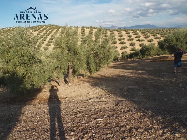 Grond te koop in Pinos Puente - € 125.000 (Ref: 10160181)