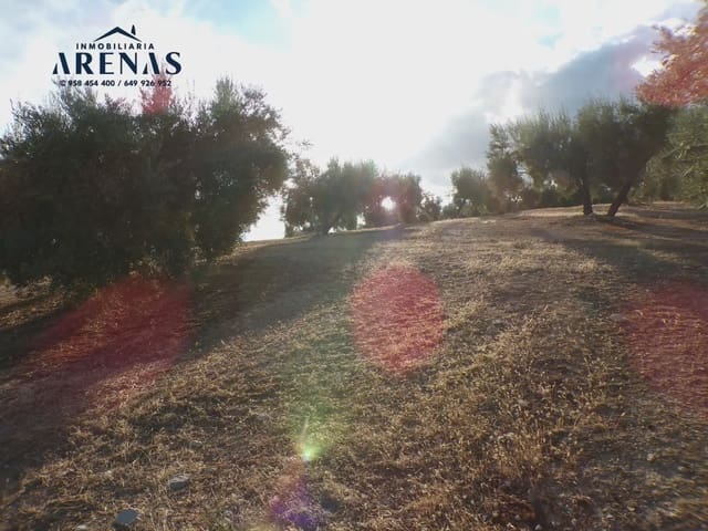 Grond te koop in Pinos Puente - € 125.000 (Ref: 10160181)