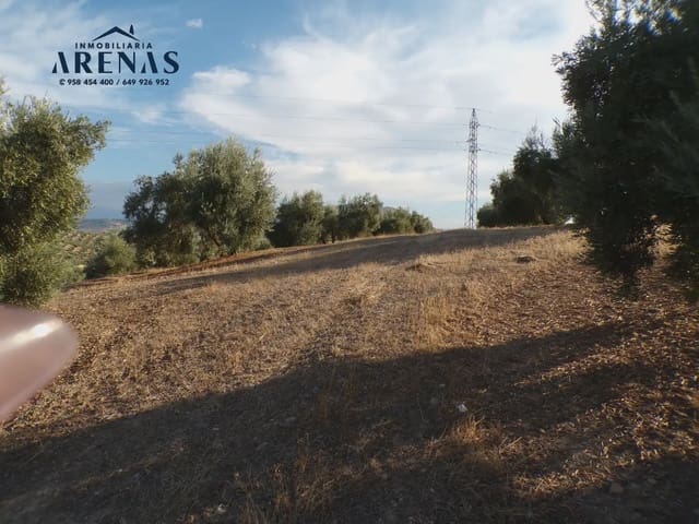 Grond te koop in Pinos Puente - € 125.000 (Ref: 10160181)