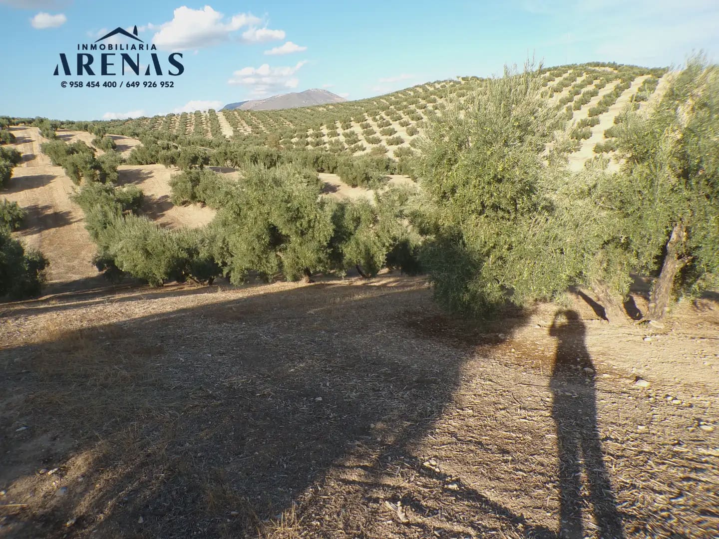 Grond te koop in Pinos Puente - € 125.000 (Ref: 10160181)