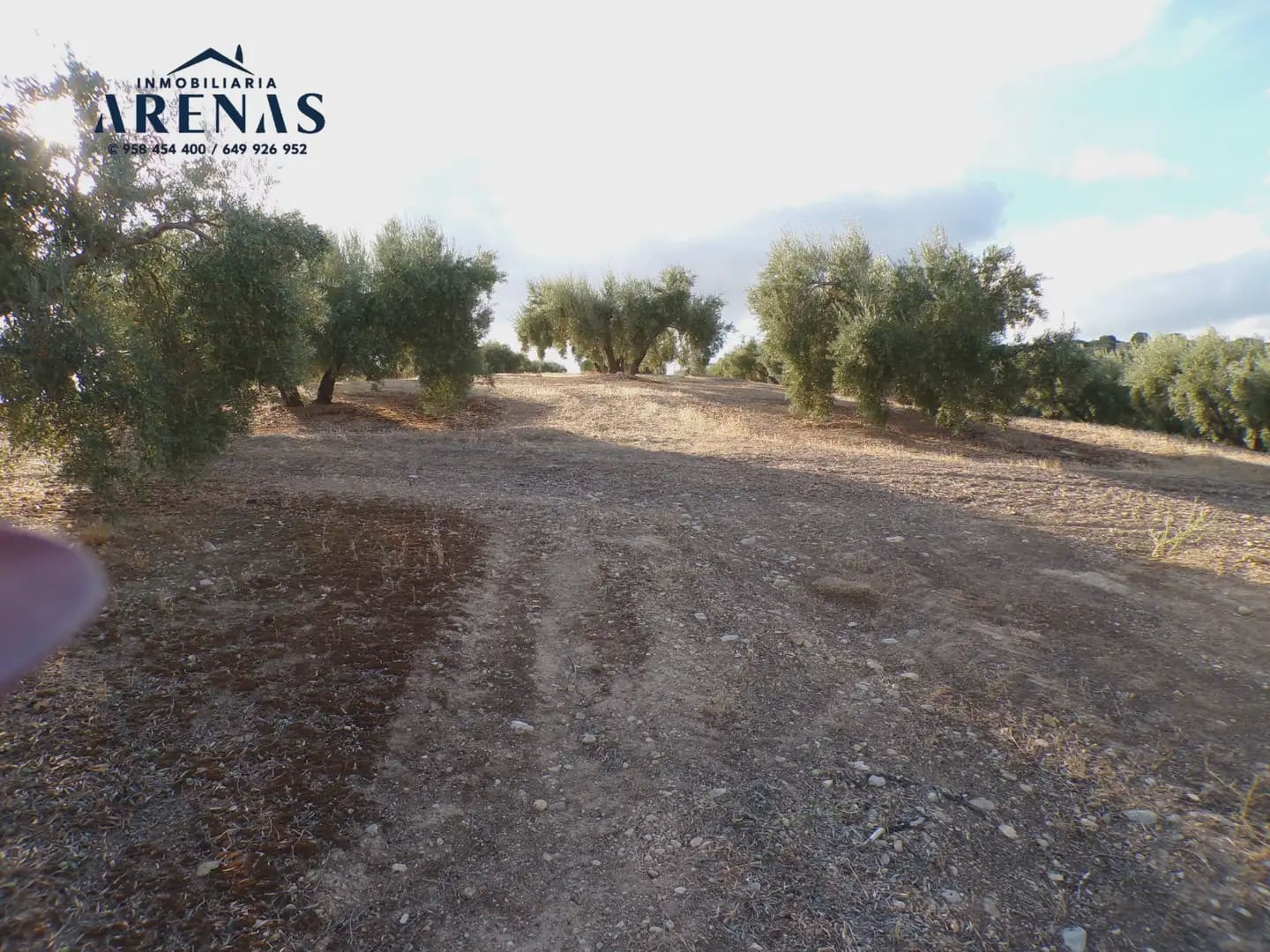 Grond te koop in Pinos Puente - € 125.000 (Ref: 10160181)