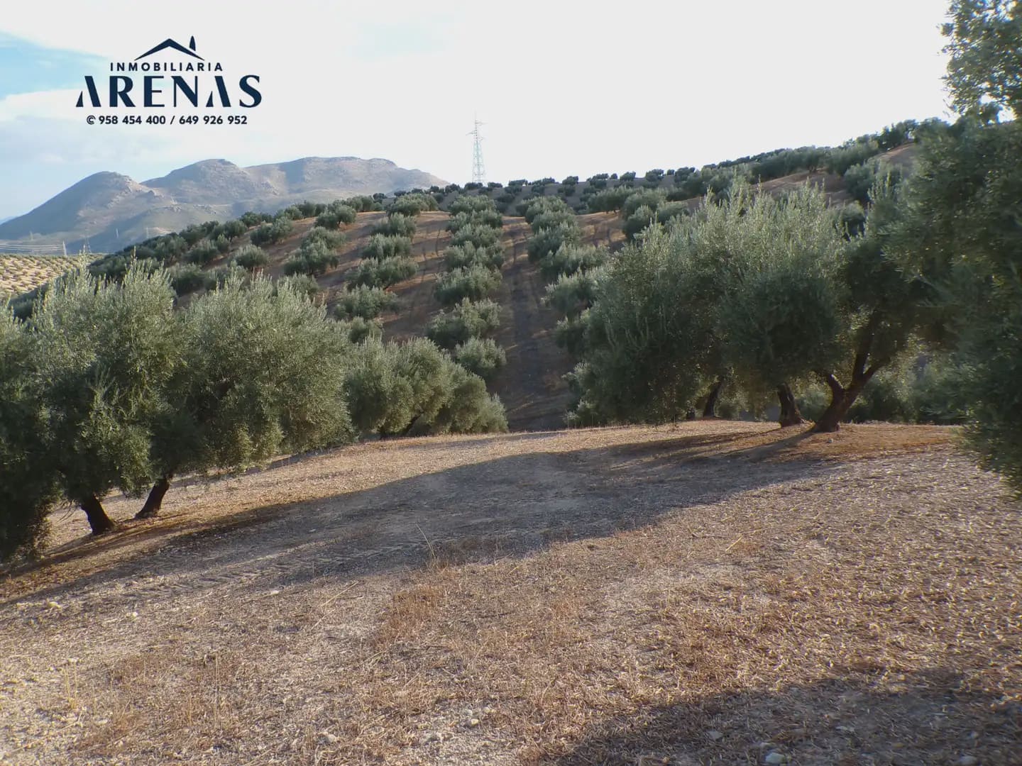 Grond te koop in Pinos Puente - € 125.000 (Ref: 10160181)