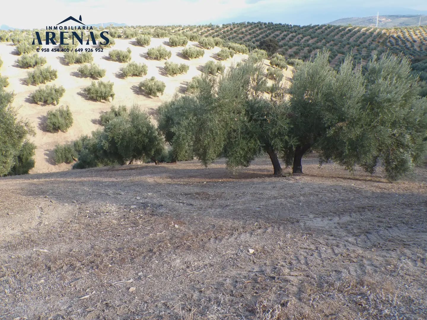 Grond te koop in Pinos Puente - € 125.000 (Ref: 10160181)