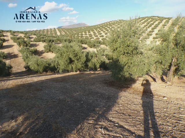 Grond te koop in Pinos Puente - € 125.000 (Ref: 10160181)