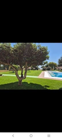 Apartment for rent in Torremolinos with pool garage - € 900 (Ref: 10059609)