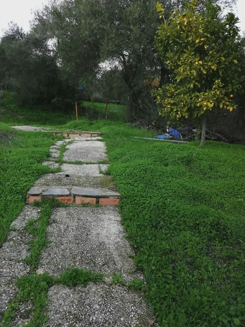Mark till salu i Cortes de la Frontera - 120 000 € (Ref: 10016341)