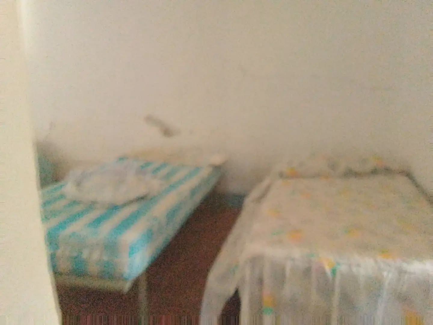 Mark till salu i Cortes de la Frontera - 120 000 € (Ref: 10016341)